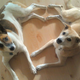 Look at these two sweethearts!